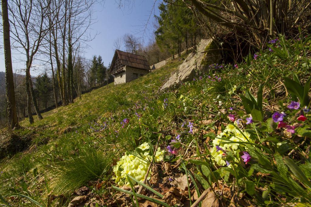 Casa Delle Noci Villa Grimacco Værelse billede