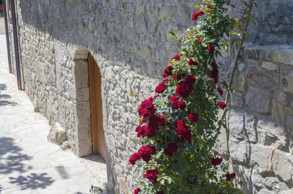 Casa Delle Noci Villa Grimacco Eksteriør billede